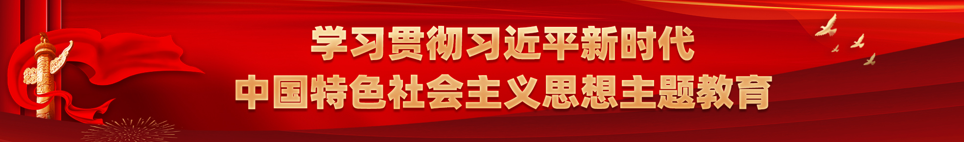 学习贯彻习近平新时代中国特色社会主义思想主题教育